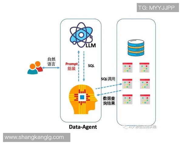 深入探讨上海排球队技术表现的数据分析与发展潜力研究